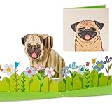 Rykamia Pug Pop Up Card, Blank Pug Card, Pug Birthday Card, Father's Day Pug Card, Card for Dog Mom, Pug Gift for Pug Lovers, Card for Pug Fan, Pug Thank You Card, Pug 3D Card, Pug Greeting Card