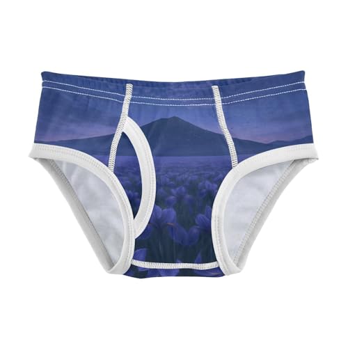 GuoChe Toddler Boy Briefs Soft Cotton in Sizes 2T,3T, 4T, 5T, 6Y and 8Y