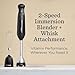 Vitamix 2-Speed Immersion Blender + Whisk Attachment, Professional-Grade Hand Blender with 350-Watt Motor and Stainless-Steel Blade, Black