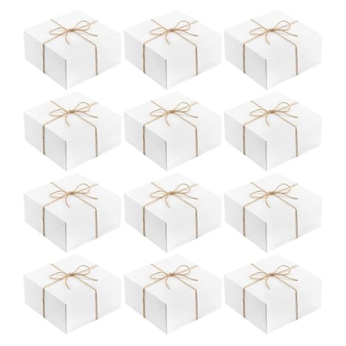 PLAFOPE 12 玆v[g{bNX Rtlp`bsO 蕨ppbP[WOP[X ϋv pr {b