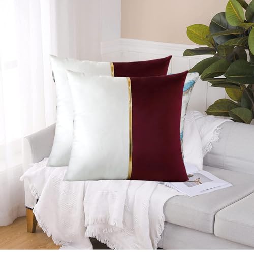Image of HIMS Velvet Sofa Pillow Cover Set of 2, Luxury Cushion Cover 20 inch x 20 inch for Decorative Living Room Sofa Bedroom Car (20x20 Inch, Maroon)