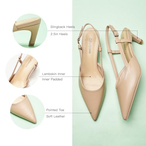 C.Paravano Slingback Heels for Women | Pointed Toe Heels Sandals | Pointed Kitten Heels | Slip On Work Pumps Dress Shoes4