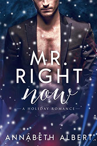 Mr. Right Now : MM Holiday Romance (An Annabeth Albert Christmas)