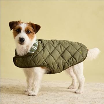 Rosewood Joules Cappotto trapuntato per cani di piccola taglia, lavabile, leggero, caldo, per cani di piccola taglia, colore: cachi