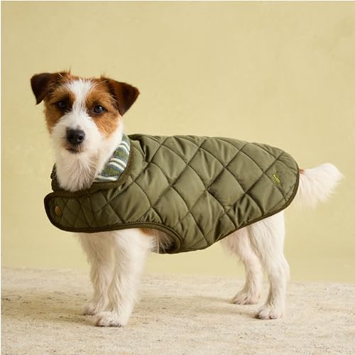 Immagine prodotto: Rosewood Joules Cappotto trapuntato per cani di piccola taglia, lavabile, leggero, caldo, per cani di piccola taglia, colore: cachi