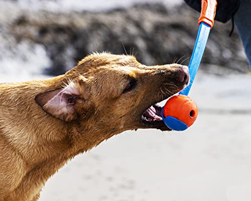 Chuckit! CH19600 Fetch Ball Large 1-er Pack
