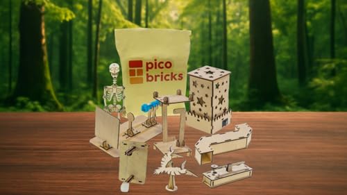 Kit de sciences physiques éducatif DIY avec maquette squelette et veilleuse