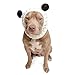 Zoo Snoods Panda Costume - Warm Knit Dog Snood Wrap for Pets, Neck Ear Cover Protection, Halloween Winter (Medium)