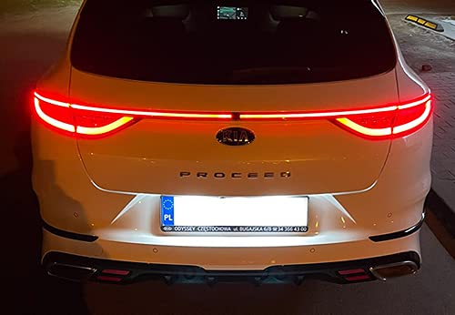 RZG 2x Luci LED per Targa Bianche Canbus per i40 4D VF Tucson TL Sportage QL ProCeed CD Soul SK3 Stonic