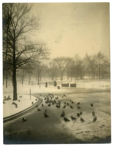 Affiche et Impression d'art Mural Pigeons Boston Jessie Tarbox Beals décoration vintage 60x90