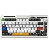 Amazon.com: KZZI K75 PRO RGB 75% Wireless Gasket Mechanical