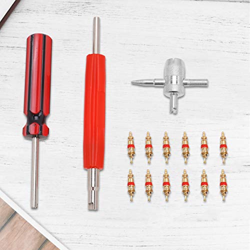 VILLCASE Ferramenta Removedor de NÃºcleo de VÃ¡lvula AlÃ§a de PlÃ¡stico NÃºcleo de VÃ¡lvula de Subst