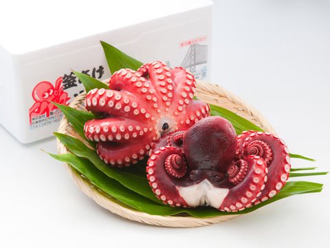 Amazon.co.jp: 明石市特産品 蛸 釜あげ明石だこ 大1尾 約600g : 食品