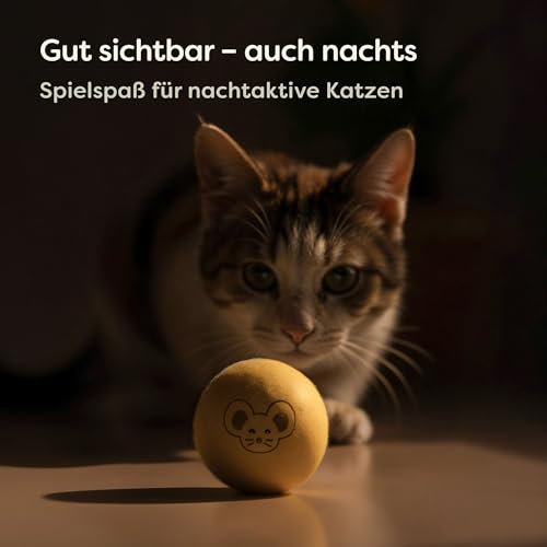 Knupis 6 Filzbälle für Katzen mit Tasche - Spielspaß ohne Lärm aus 100% Wolle - Katzenspielzeug Geräuschlos, Weich und gut Sichtbare Katzenbälle für alle Katzen und Kitten
