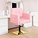 Tythical Pink Salon Chair for Hair Sylist, Height Adjustable Hydraulic Styling Barber Chair, Beauty Salon Equipment with 360 ° Swivel Heavy Duty, Max Load Weight 440 Lbs