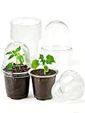 JOPY 4 Inch Plastic Nursery Pots with Humidity Dome for Plants Clear Seed Starter Pots Seedlings Planting Pots...