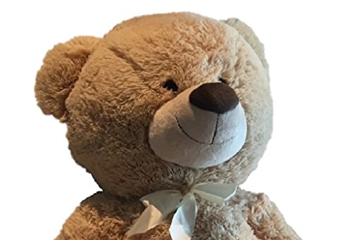 XXL Teddybär 1m Hellbraun Kuschelbär Kuscheltier Stofftier Bär Teddy – Bild 2