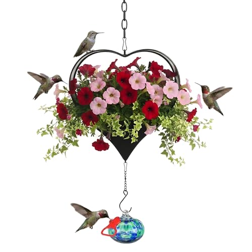 Headak Life Heart Shaped Iron Hanging Planter with Hummingbird Feeder