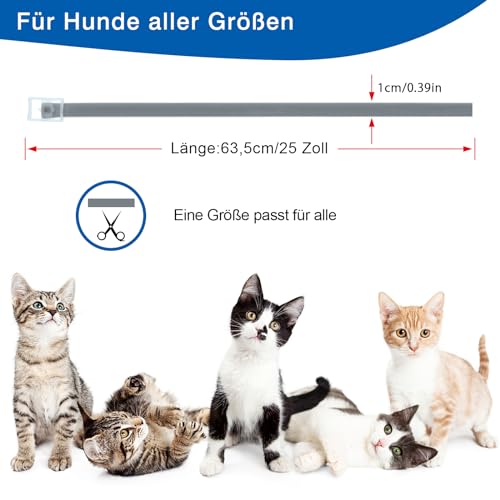 DEWEL Zeckenhalsband für Hunde - 8 Monate Schutz- 63.5 cm verstellbar für alle Größen - Wasserdicht Hund Flohhalsband, Flohschutz Halsband für Hunde (2 Einheiten)