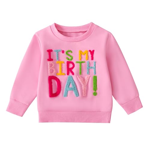 Toddler Fall Outfit Birthday Girl Print Sweatshirt Top Crewneck Pullovers Shirt Little Princess Birthday Clothes