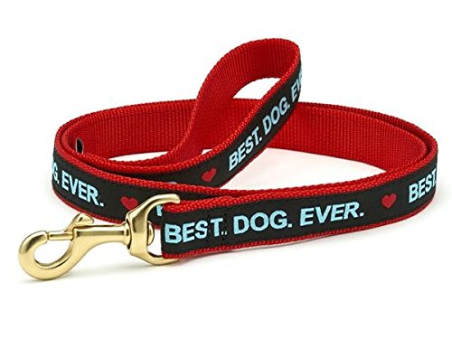Up Country Best Dog Ever Dog Leash - 6 Ft Wide