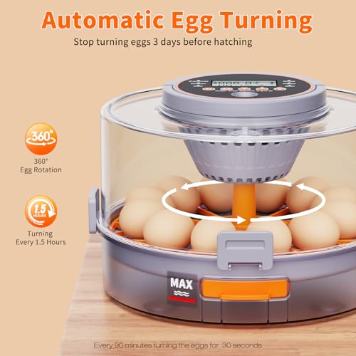50% Off 12 Egg Incubator with Auto Turning & Humidity Control - Image 8