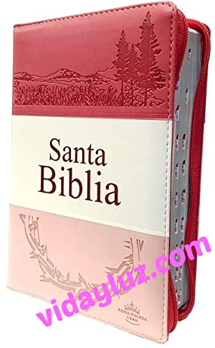 Biblia RVR60 - Concordancia Amplia, Letra Grande, palabras de Jesus en Rojo, ziper, indice, tapa en imitacion cuero triotone rosado y canto plateado (Spanish Edition)