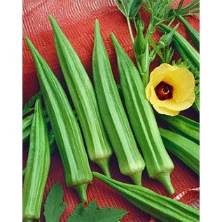 Krypton Go Green 30 Seeds Hybrid Lady Finger - 5gm (B0151JL14S) Amazon Price History, Amazon Price Tracker