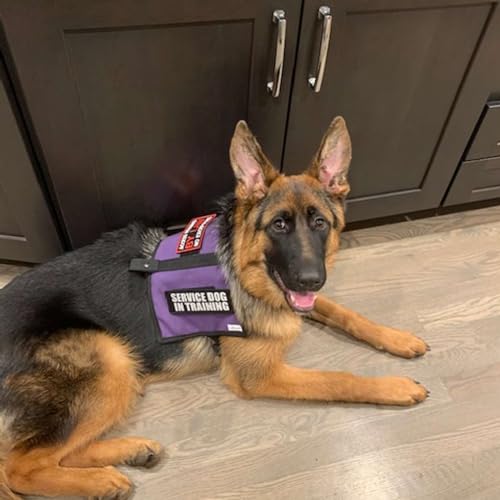 Are You Disabled Enough?