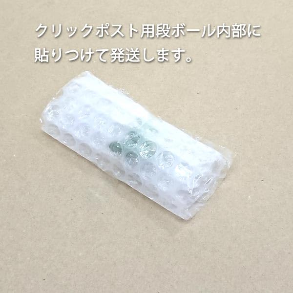 Amazon.co.jp: 多肉植物 セネシオ属 ピーチネックレス カット極小苗
