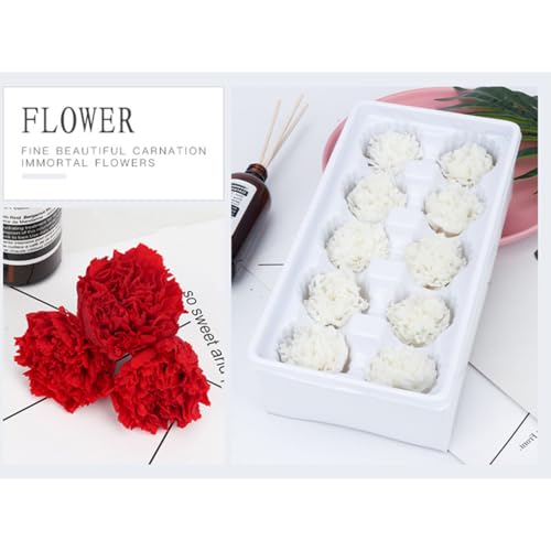 Set 8 flores eternas clavel rojo 5x3x5cm miniatura 3