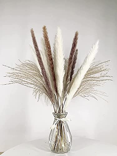 17 Inch Pampas Grass,Pampas Grass Decor and Dried Pampas Grass,30 Pcs Pompous Grass,Pompass Grass Branches for Living Room,Kitchen Decor or Boho Flowers Decor(Without Vase)