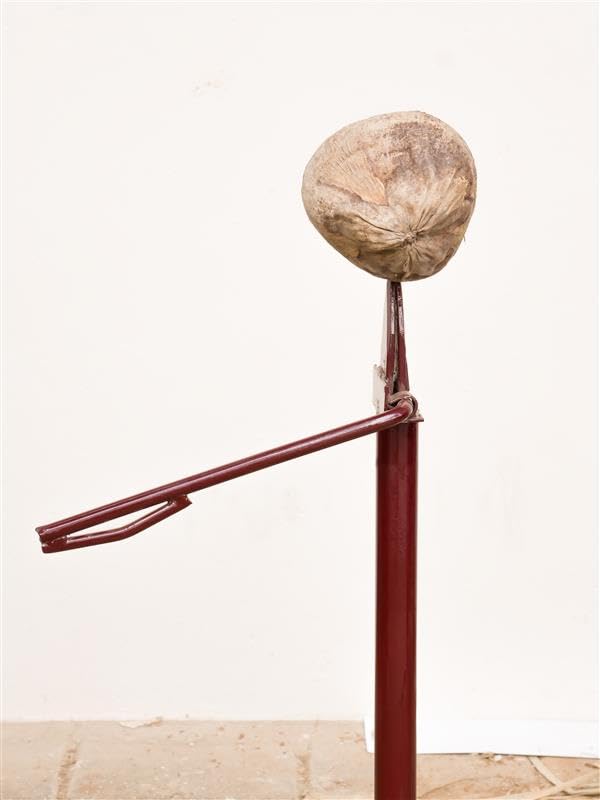Image of Metal Coconut Husk Peeler Remover Deshusker Heavy Use Manual Machine Naral Solini-Sharp Cutting Pointer with Strong Handle (Weight-2.6 Kg)