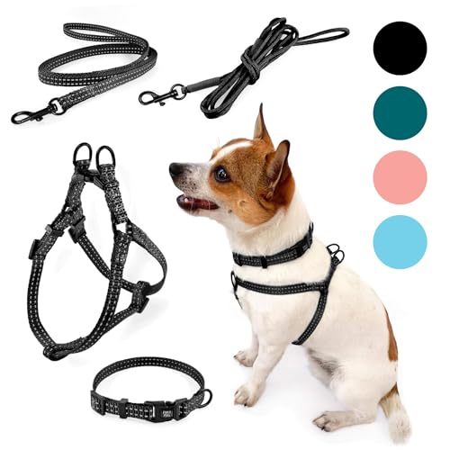 Superlite Walkies Bundle | Puppy Harness Set | Lightweight Harnes...