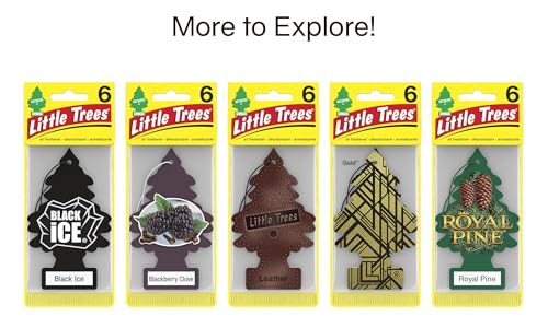 Image of LITTLE TREES Air Fresheners Car Air Freshener. Hanging Tree Provides Long Lasting Scent for Auto or Home. No Smoking, 24 Air Fresheners (Pack of 6)