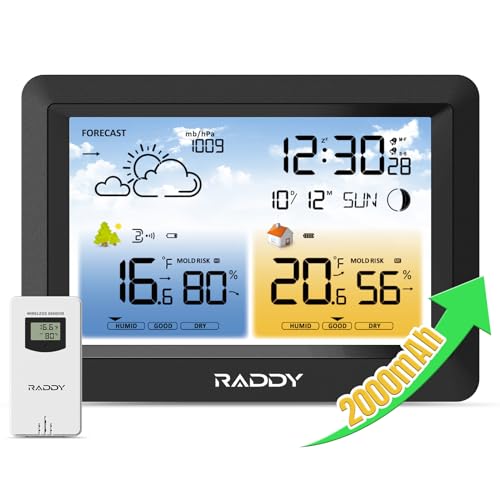 Raddy WM6 Weather Station