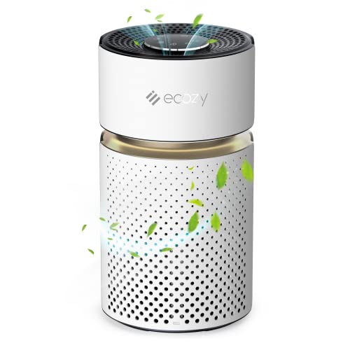 ecozy H13 True HEPA Air Filter