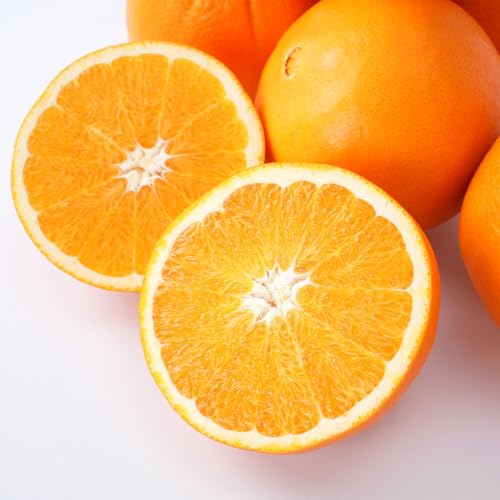 [先行予約] 和歌山県産ネーブル 約4kg 大玉(8個〜9個)秀品 [KG35]