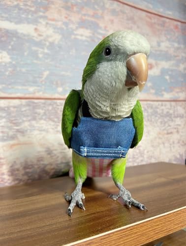 Image of Bird Flight Harness Vest, Parrot Suit with Leash for Cockatiels Conures Budgies Lovebirds African Grey, Flying Clothes Rope and Handle Outdoor Activities Training (Medium)
