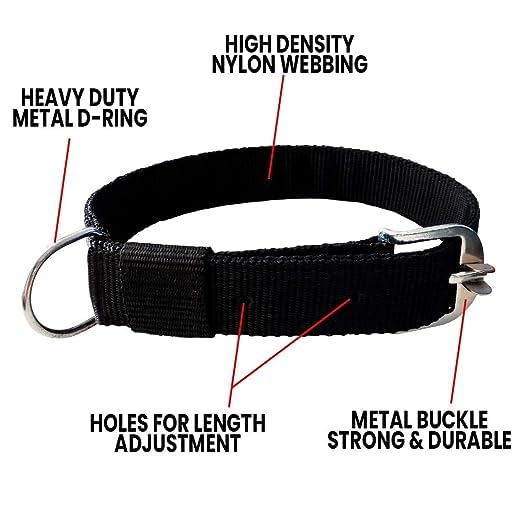Image of Passion 1 Inch Black Dog Collar