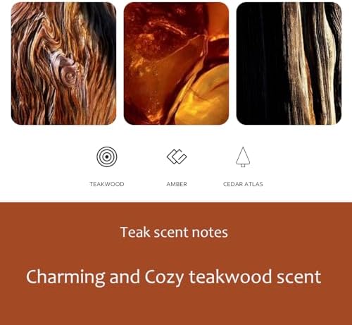 Car Air Freshener, Wood Air Freshener, Odor Eliminator, Teak Scent Starter Kit Car Visor clip (Pack of 1 Teak Scent)