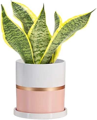Ekirlin 6 inch Plant Pot - Ceramic Flower Planters Indoor - Modern Succulents Containers with Drain Hole Saucer, Decorate Home, Office & Outdoor (Pink)
