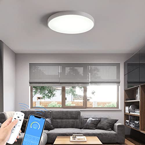 BKBEINGKING 北欧風 4-6畳 APP遠隔制御 無段階調光調色 LED シーリングライト おしゃれ 北欧 リモコン付き インテリア ライト リビング 天井 照明器具 間接照明 和室 居間 日本語説明書 BK-HTM353【ホワイト 直径40cm