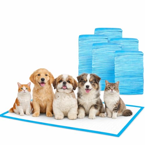 Image of Patch & Marshall Dog Pee Mats / Sheets with Adhesive Floor Strips Suitable for Puppies,Small , Medium & Large Dogs Leak Proof , Disposable, 10 Pcs, (60 x 90 - Fast Channel)