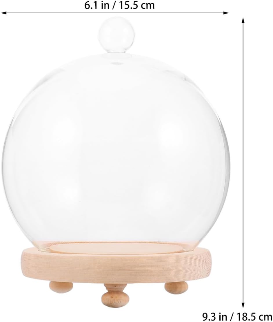 Glass Bell Jar Cover Wooden Base with Display