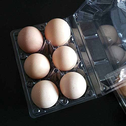 48Pack Clear Plastic Disposable Egg Tray Carton Holder for Family Pasture Chicken Farm Business Market- Holds 6 Eggs Securely