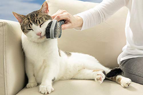 Furminator deShedding-Tool Hund Größe M Langhaar - Hundebürste für mittelgroße Hunde zur Entfernung der Unterwolle - Verbessertes Design & Doppelbürste für Hunde und Katzen