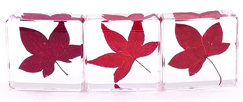 Image of 38mm Real Red Maple Leaf in Crystal Clear Lucite Resin Specimen Botanist Herb Herbarium Crafts Collection for Botany Science Education & Desk Ornament Display Small Paperweight