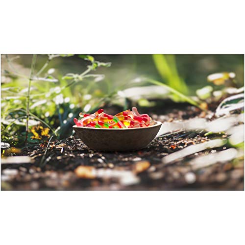 Black Forest Gummy Worms, 9 Ounce #TOP2