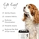 Eye Envy Tear Stain Remover Wipes for Dogs